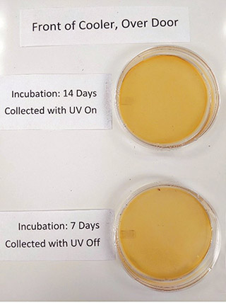 Figure 1a: Front cooler Petri dish.
